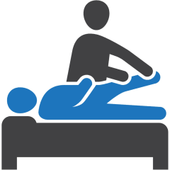 Physical Therapist